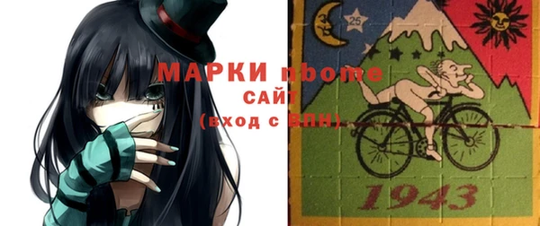 индика Балахна