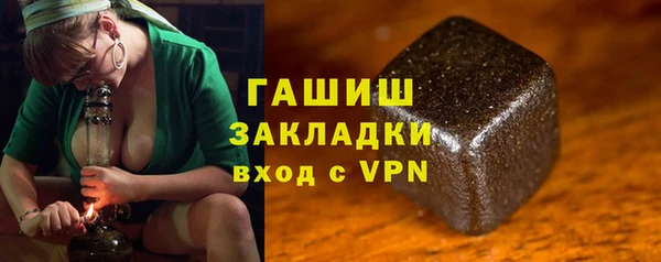 индика Балахна