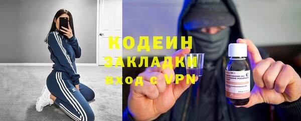 индика Балахна