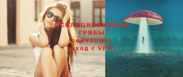гидропоника Белоозёрский