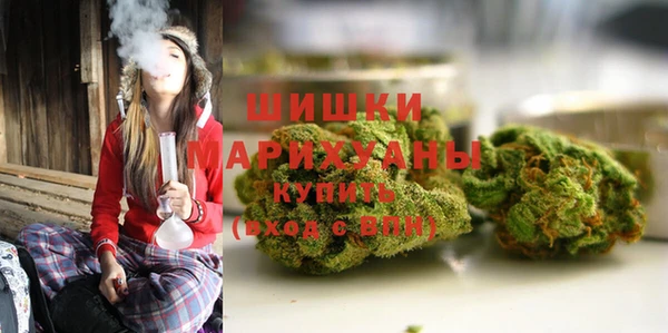 ГАЛЛЮЦИНОГЕННЫЕ ГРИБЫ Балабаново
