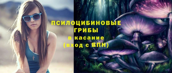 гидропоника Белоозёрский